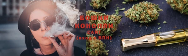 дживик Осинники