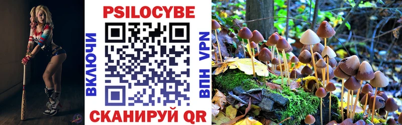 Псилоцибиновые грибы Psilocybine cubensis  Сим 